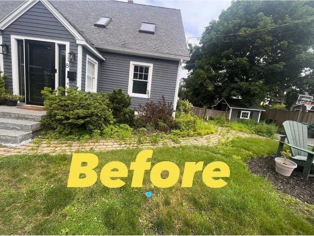 Residential Garden Transformation image